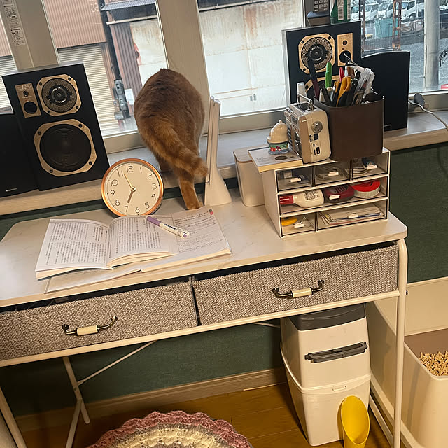 nekohagu2022さんの実例写真