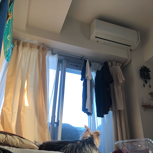 HiNaaaaaaaaaさんの実例写真