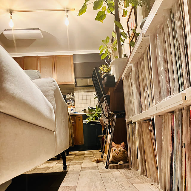 tomorinさんの部屋