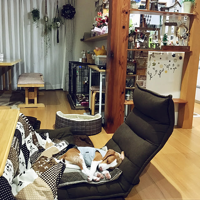 goro_wanさんの実例写真