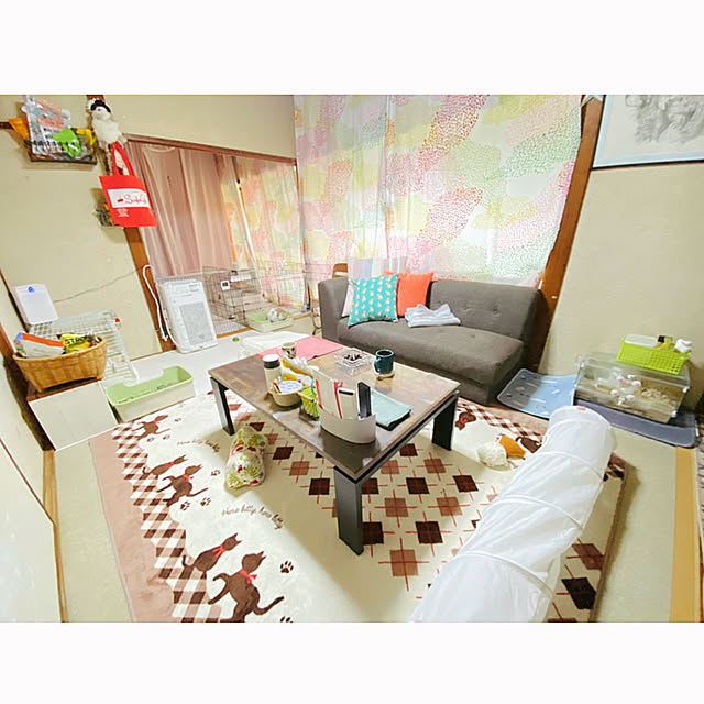 prelumoさんの実例写真