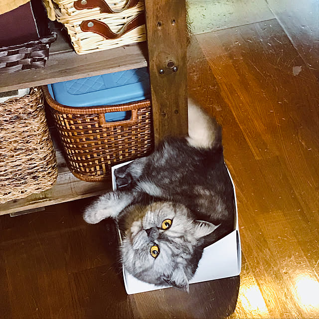 Marinさんの実例写真