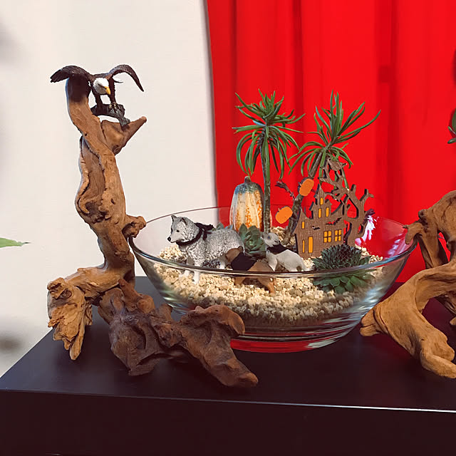 ♪ 「ホワイトタイガー ☆ 星の森の案内人」♪ ハンドメイド ♪ 「ホワイトタイガー ☆ 星の森の案内人」♪ ハンドメイド