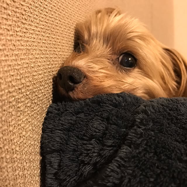 miiksさんの実例写真