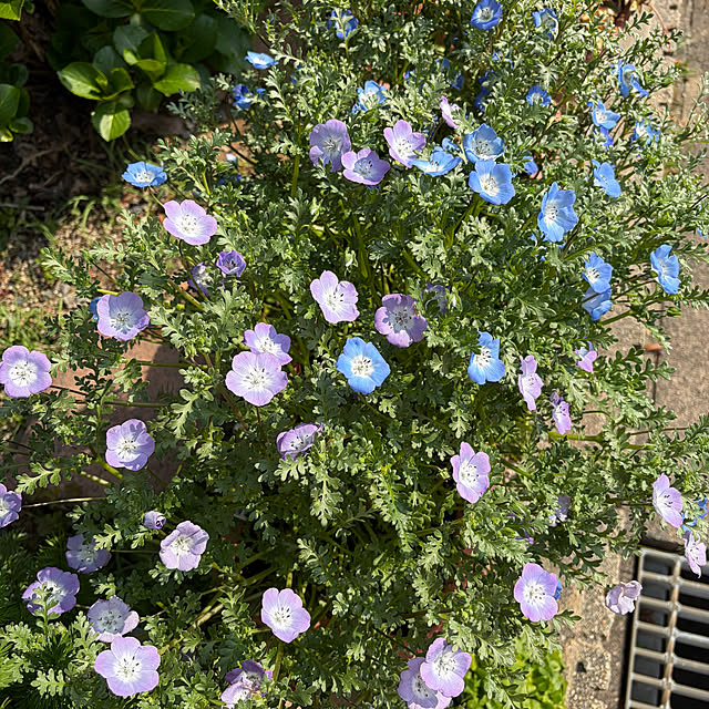 ritsukoさんの実例写真