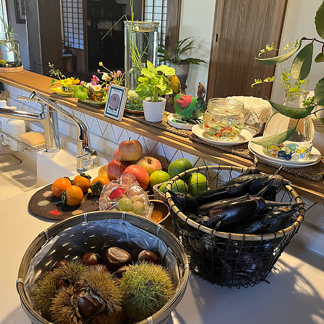 cotaさんの部屋