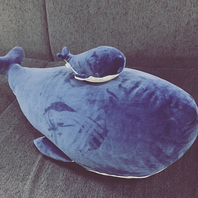 suti05さんの実例写真