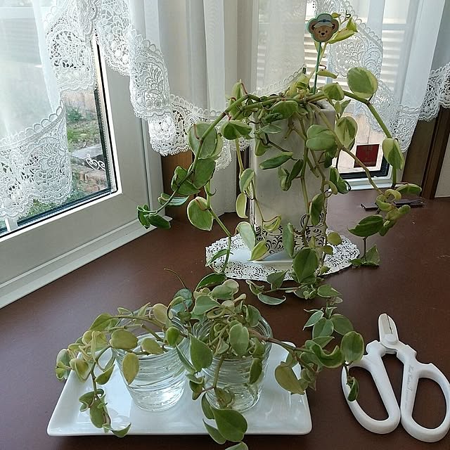 Rさんの部屋