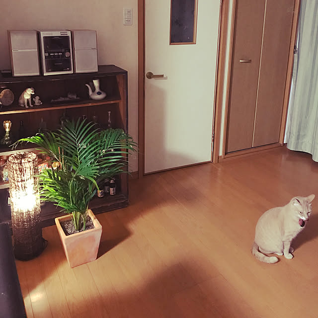 mikan161さんの実例写真