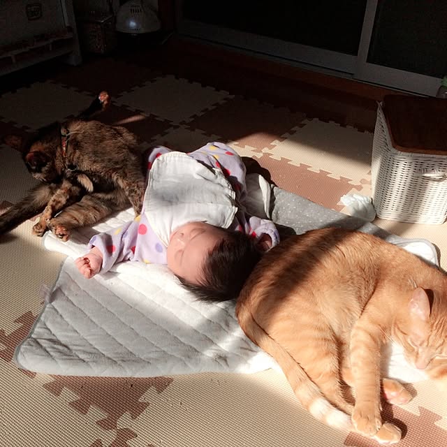 jdannabcさんの実例写真