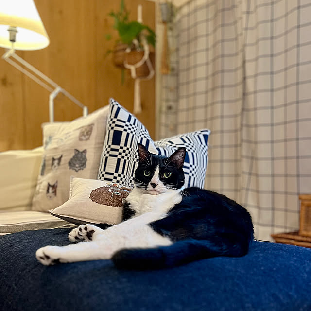pooさんの部屋