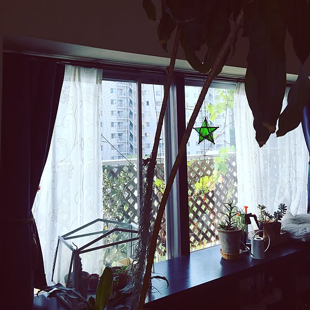 maronさんの実例写真