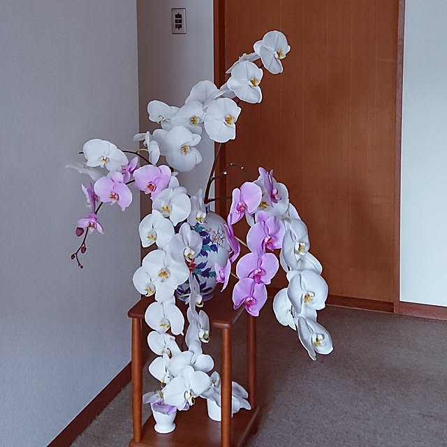 lukalukaさんの実例写真