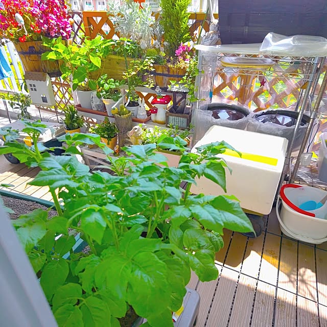 mariaさんの部屋