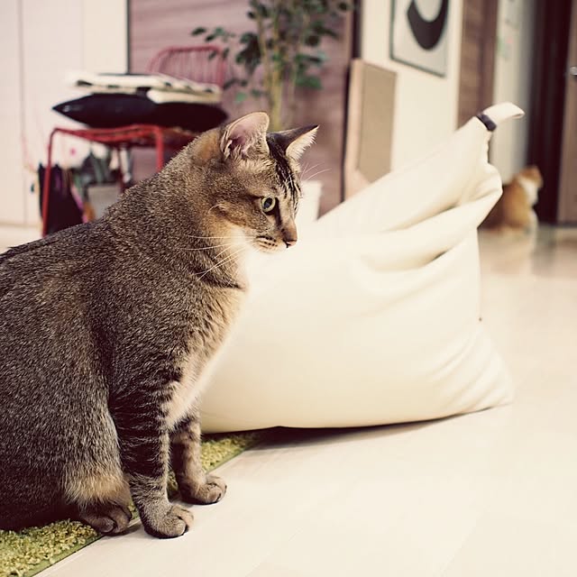 Reikoさんの実例写真