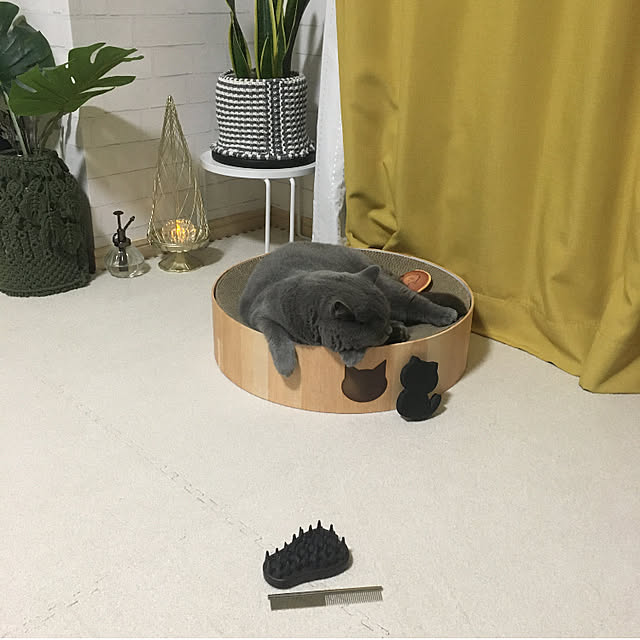 kittyさんの実例写真