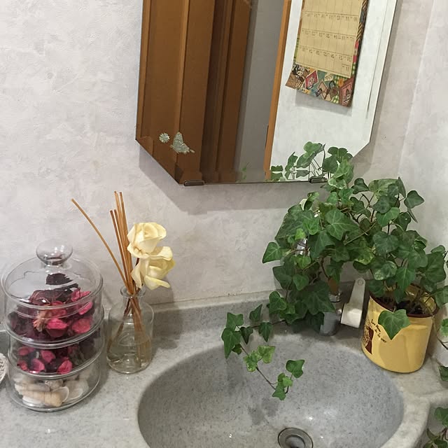 naeさんの実例写真