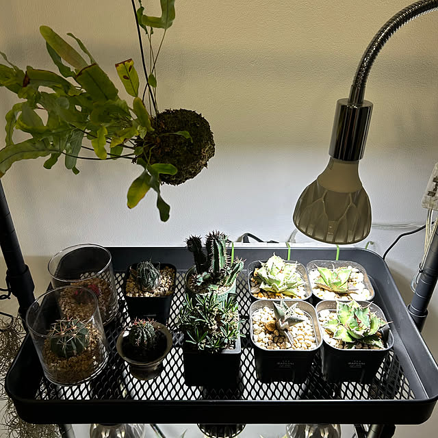 Rさんの部屋