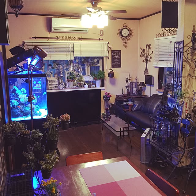 hideさんの実例写真