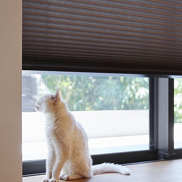 nichibeiさんの実例写真