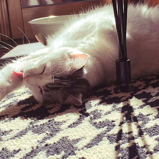 Miechamさんの実例写真