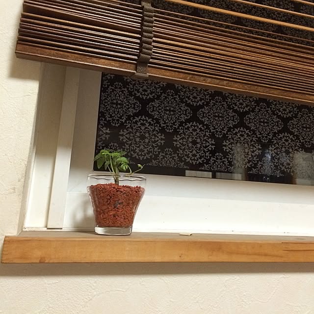 maguni66さんの実例写真