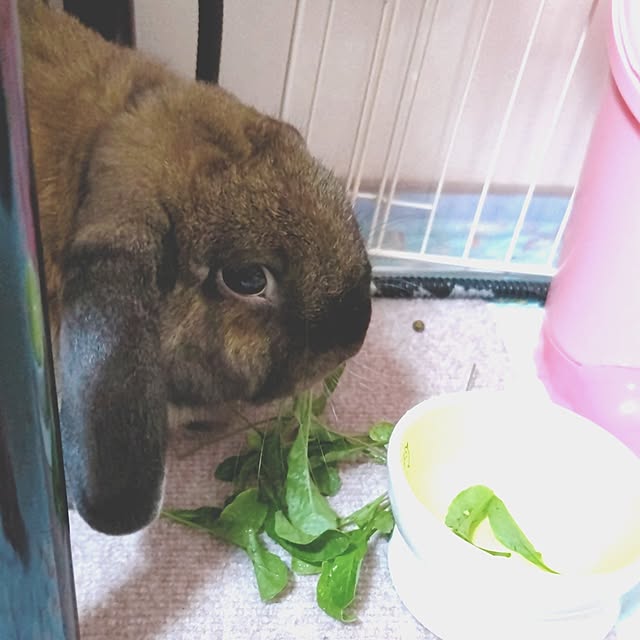 mariaさんの部屋