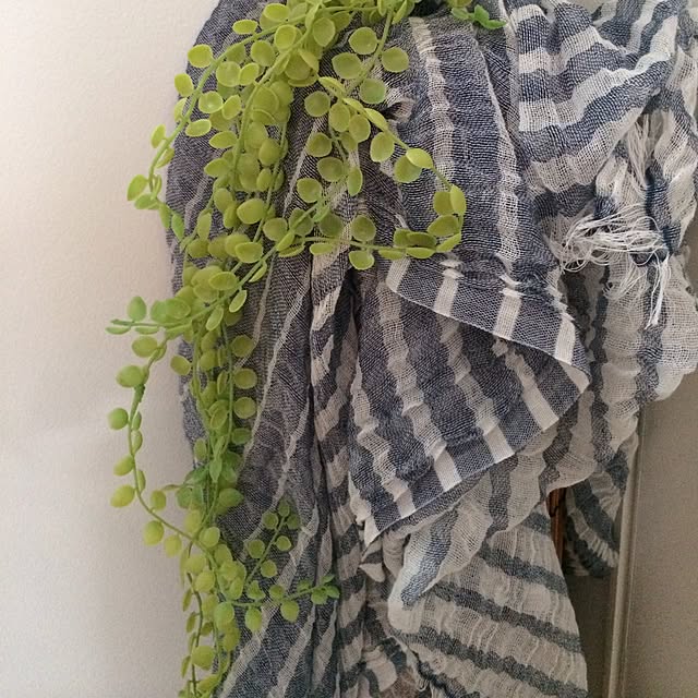 jenさんの実例写真