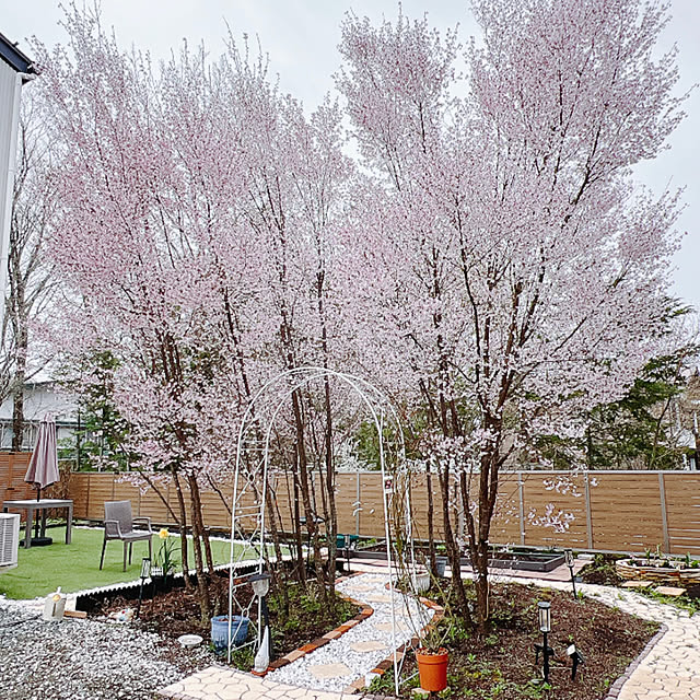chanduさんの部屋
