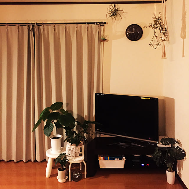chiruさんの実例写真