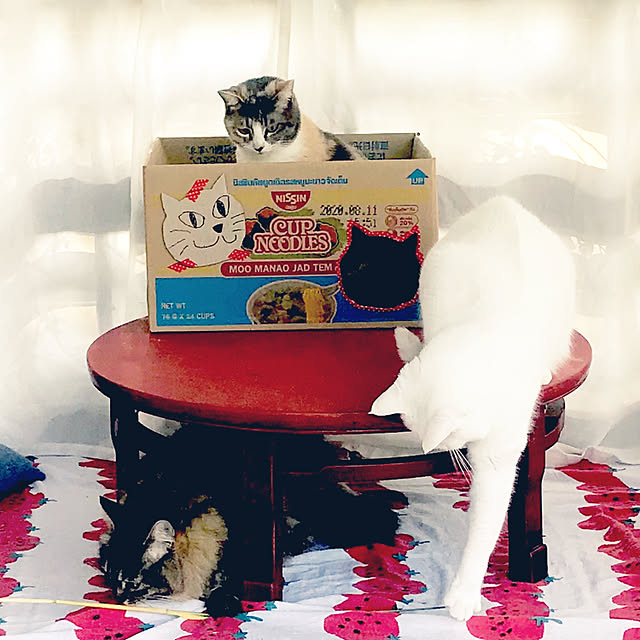 sakurasakuさんの実例写真