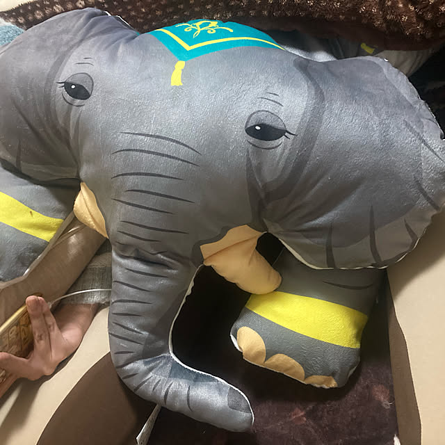 CIEL666さんの実例写真