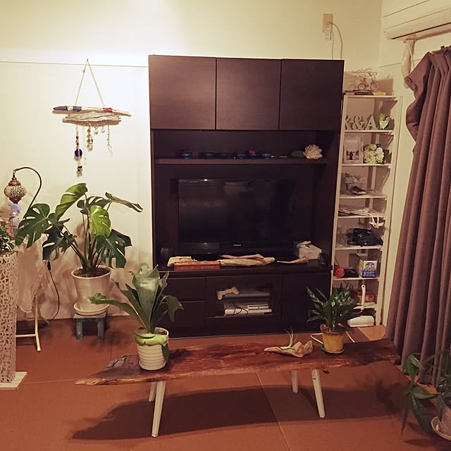 部屋全体/観葉植物/DIYのインテリア実例 - 2014-11-24 21:51:19
