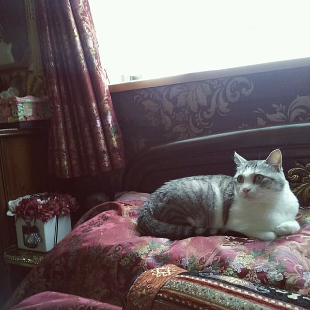 emmyyさんの実例写真