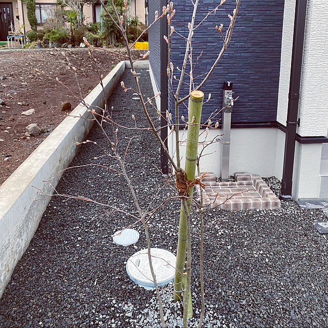 mayumさんの実例写真