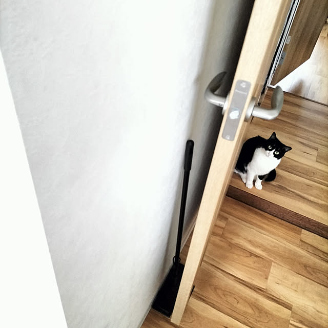 hihaさんの実例写真