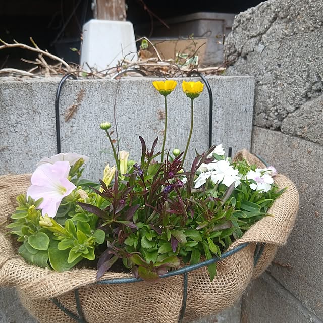 murasaki808さんの実例写真