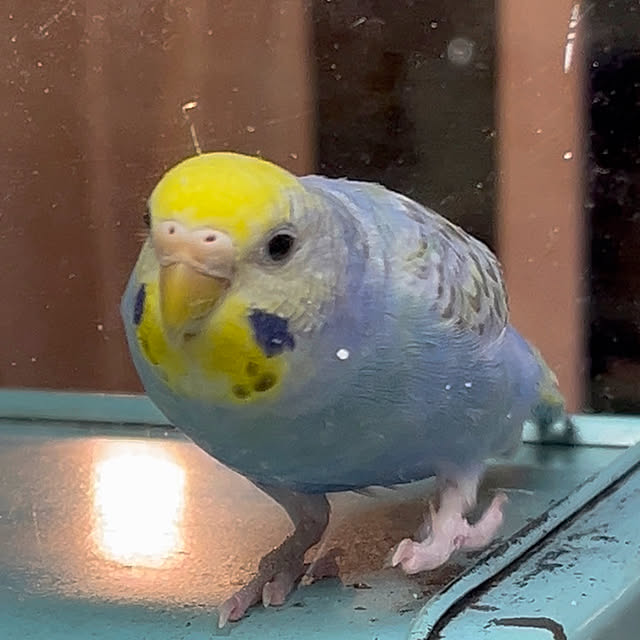 Atsukoさんの部屋