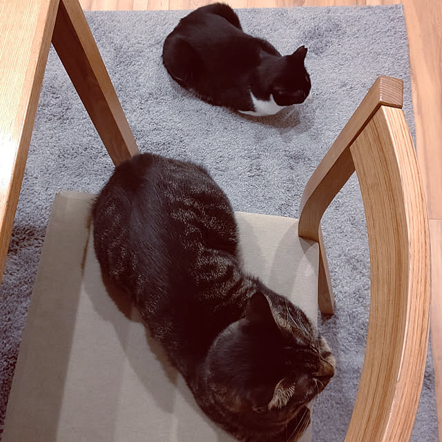 hihaさんの実例写真
