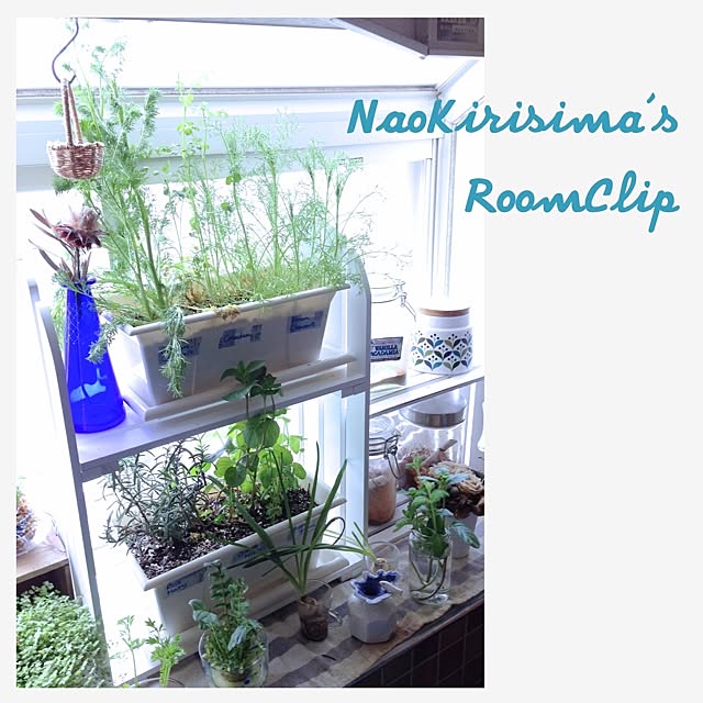 naokirisimaさんの実例写真