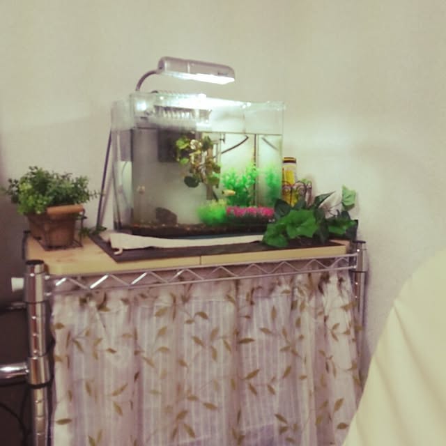sayaさんの実例写真