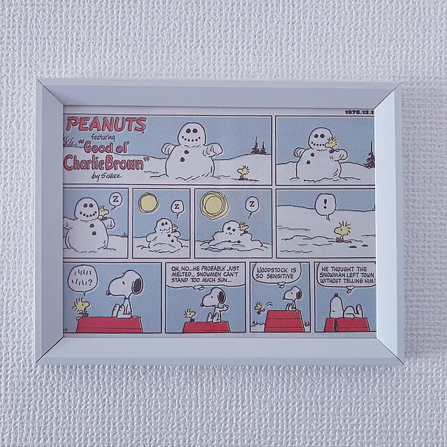 snoopyさんの実例写真