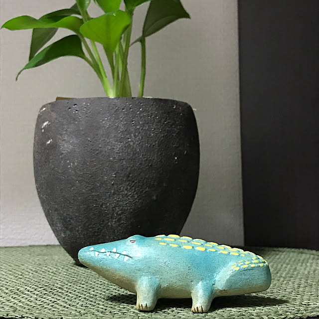 Shikanosukeさんの実例写真