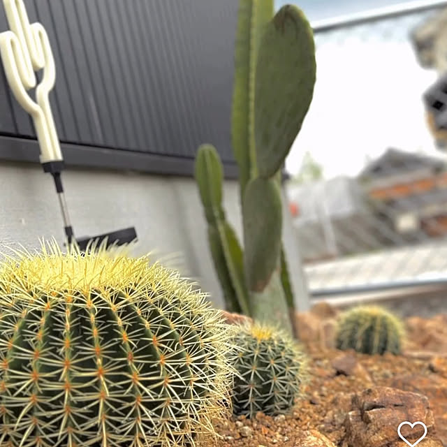 yama_zaluさんの部屋