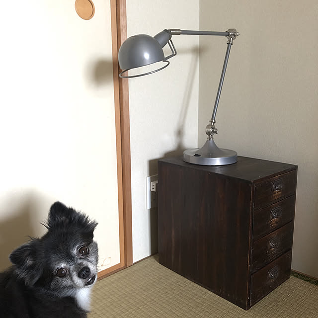Lovelynnさんの実例写真