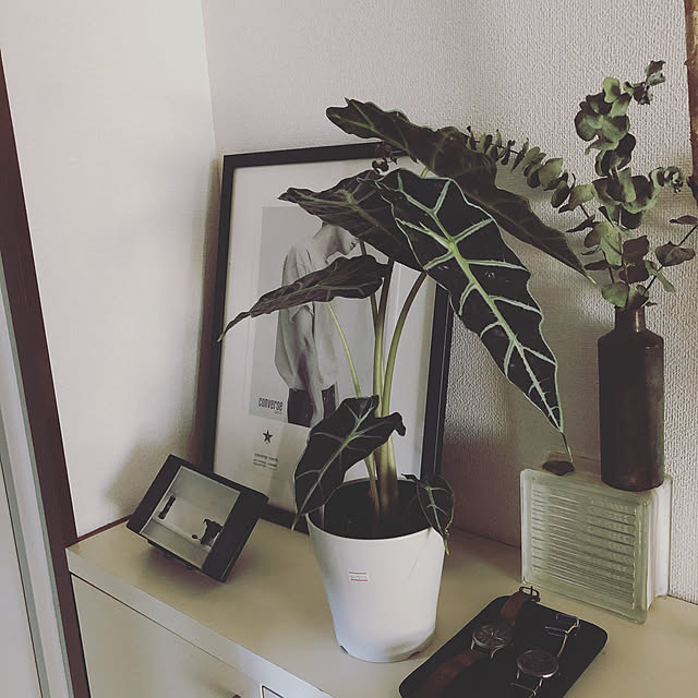 monoさんの実例写真