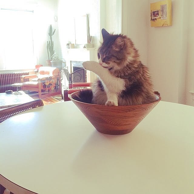 miksaさんの実例写真