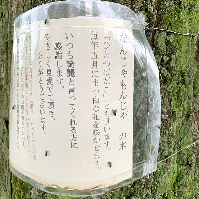eshinobumさんの部屋