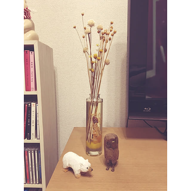 ikechonさんの実例写真