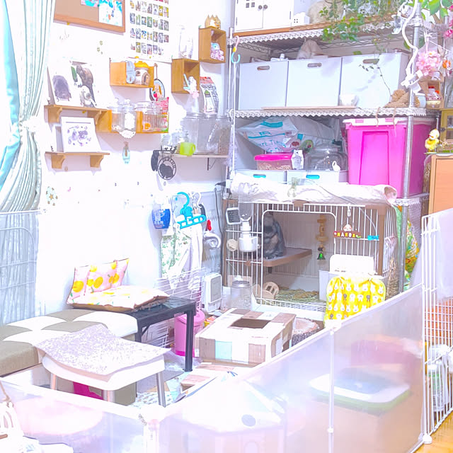 mariaさんの実例写真